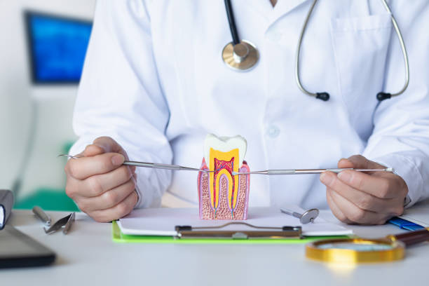 Best Emergency Cosmetic Dentistry in Ettrick, VA